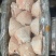 前肘，后肘，规格齐全