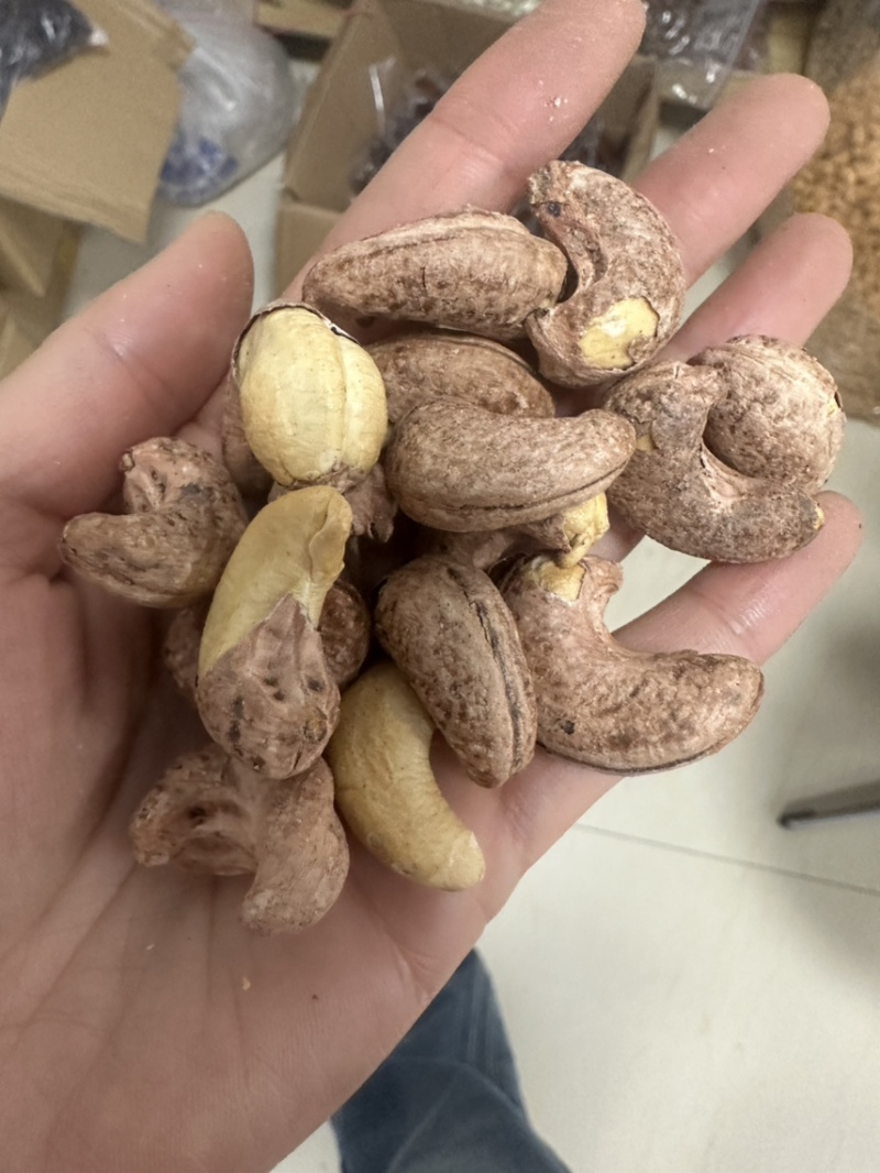 紫衣腰果大颗粒180现货供应