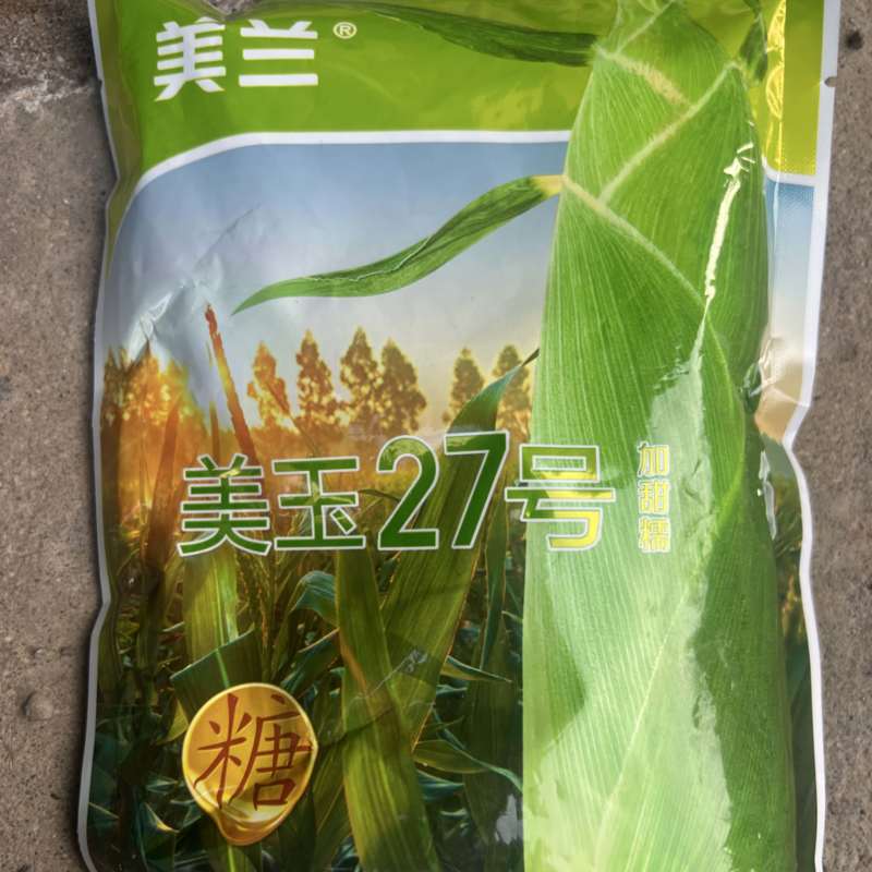 【加甜】美玉27白甜糯玉米种子大棒好吃商品性好