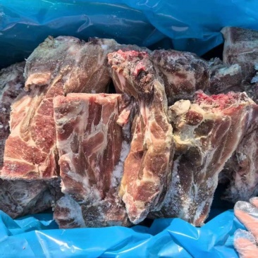 美国多肉胫骨