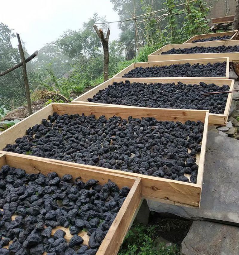 九蒸九晒九露黄精古法九制黄精500g辟谷养生多花仙人余粮