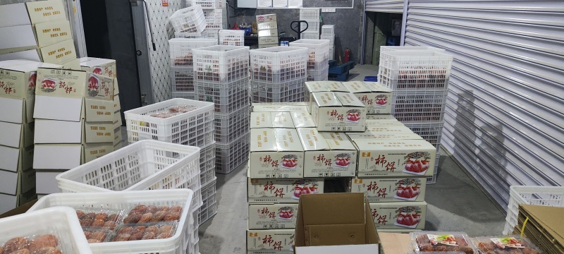 山东临朐吊柿饼霜降柿饼红饼隐士流心柿饼半干燥柿饼批发