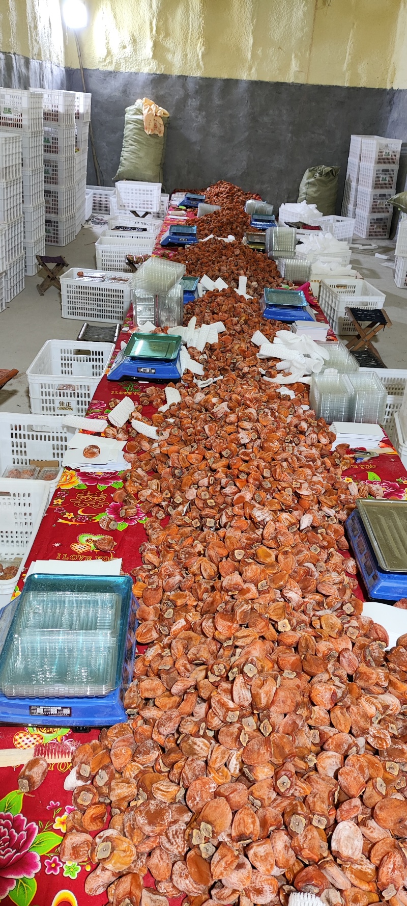 山东临朐吊柿饼霜降柿饼红饼隐士流心柿饼半干燥柿饼批发