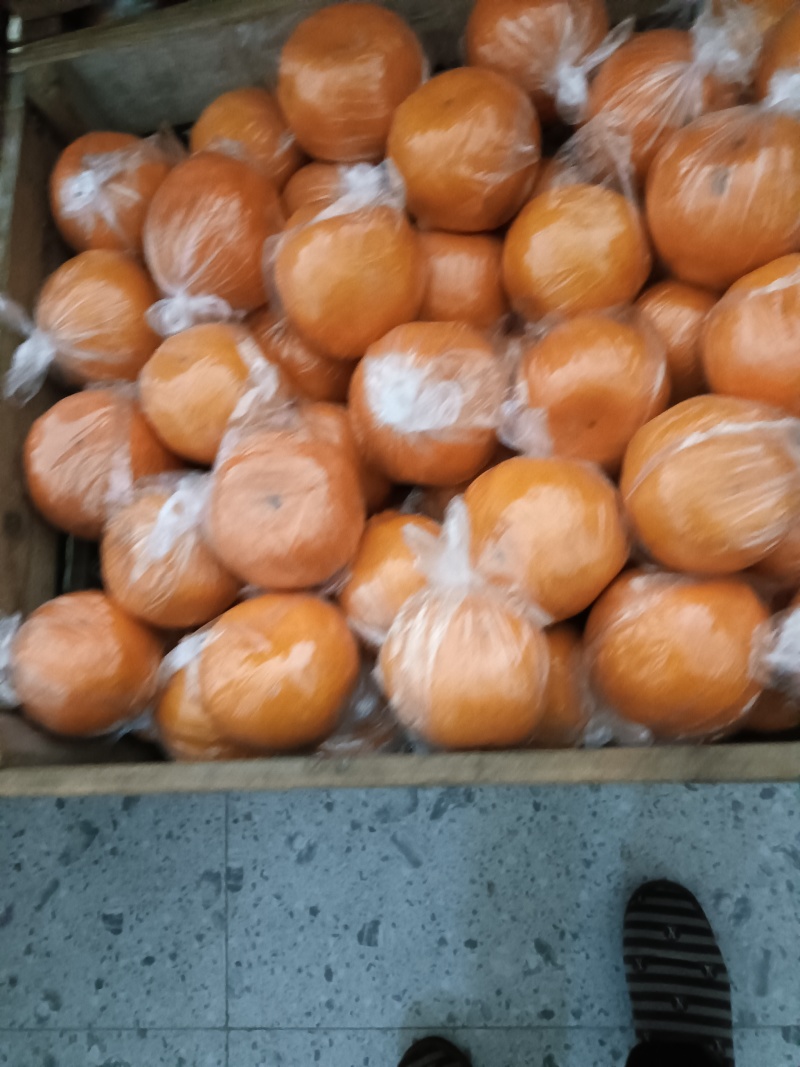 浙江省衢州市衢江区椪柑正在促销中，皮薄，味甜有意者前来选