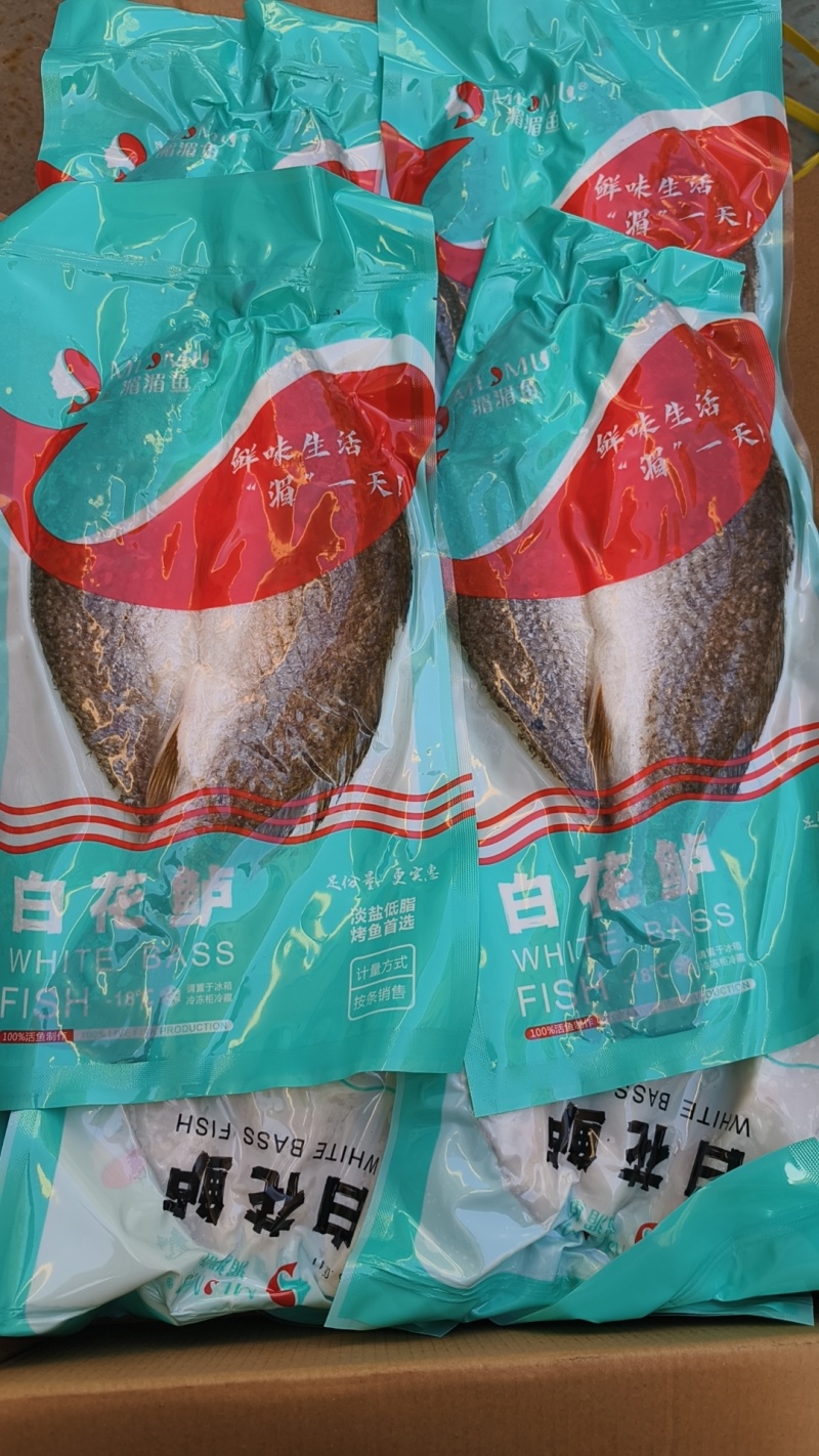 白花鲈质量好，价格优，欢迎订购。