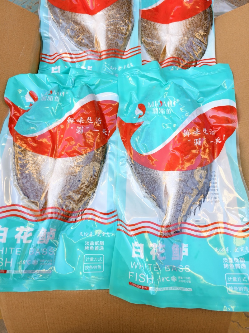 白花鲈质量好，价格优，欢迎订购。