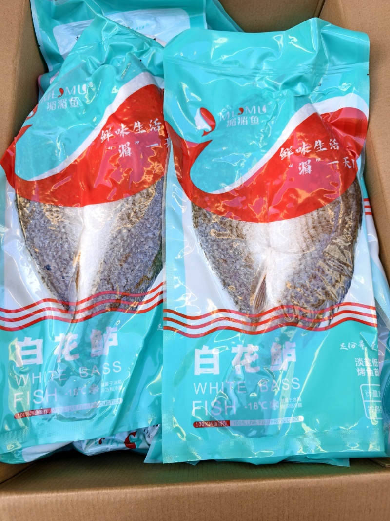 白花鲈质量好，价格优，欢迎订购。