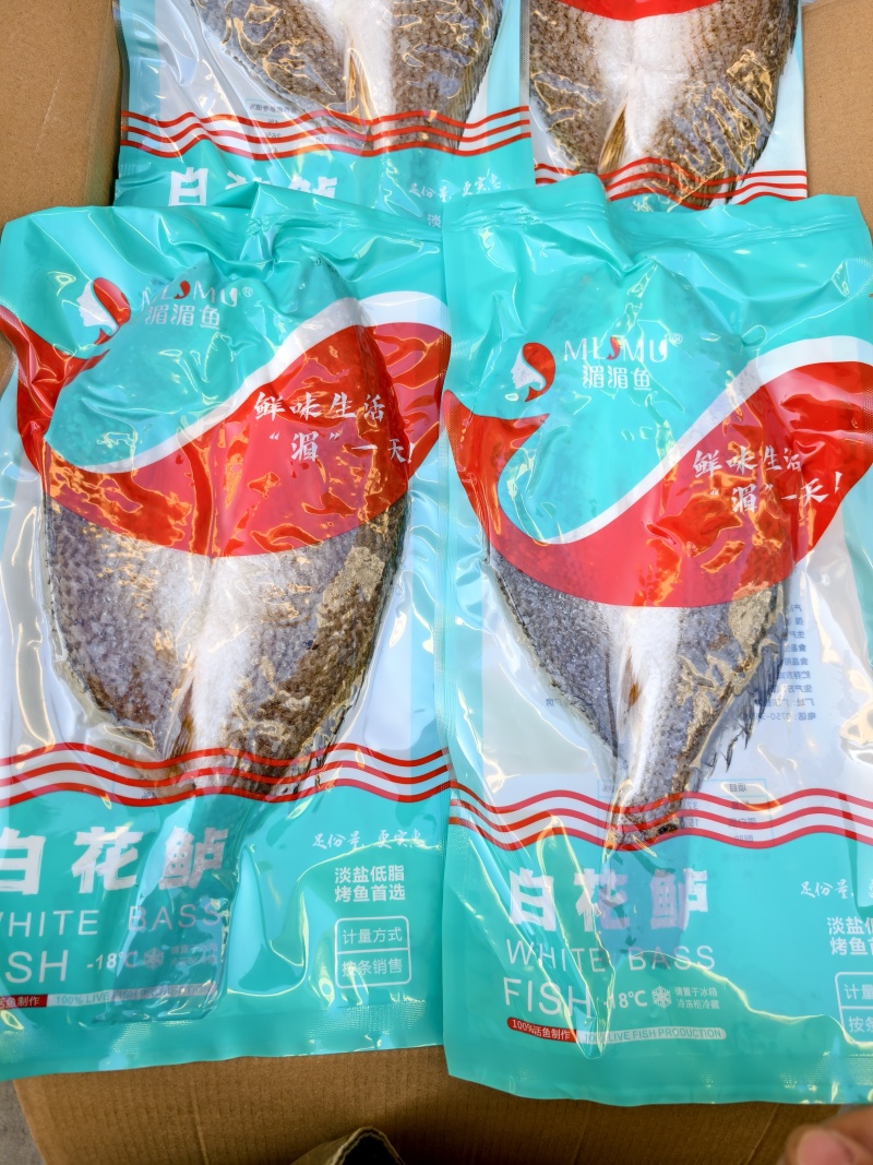 白花鲈质量好，价格优，欢迎订购。