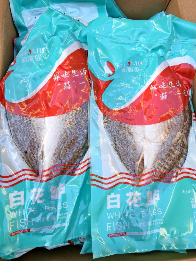 白花鲈质量好，价格优，欢迎订购。