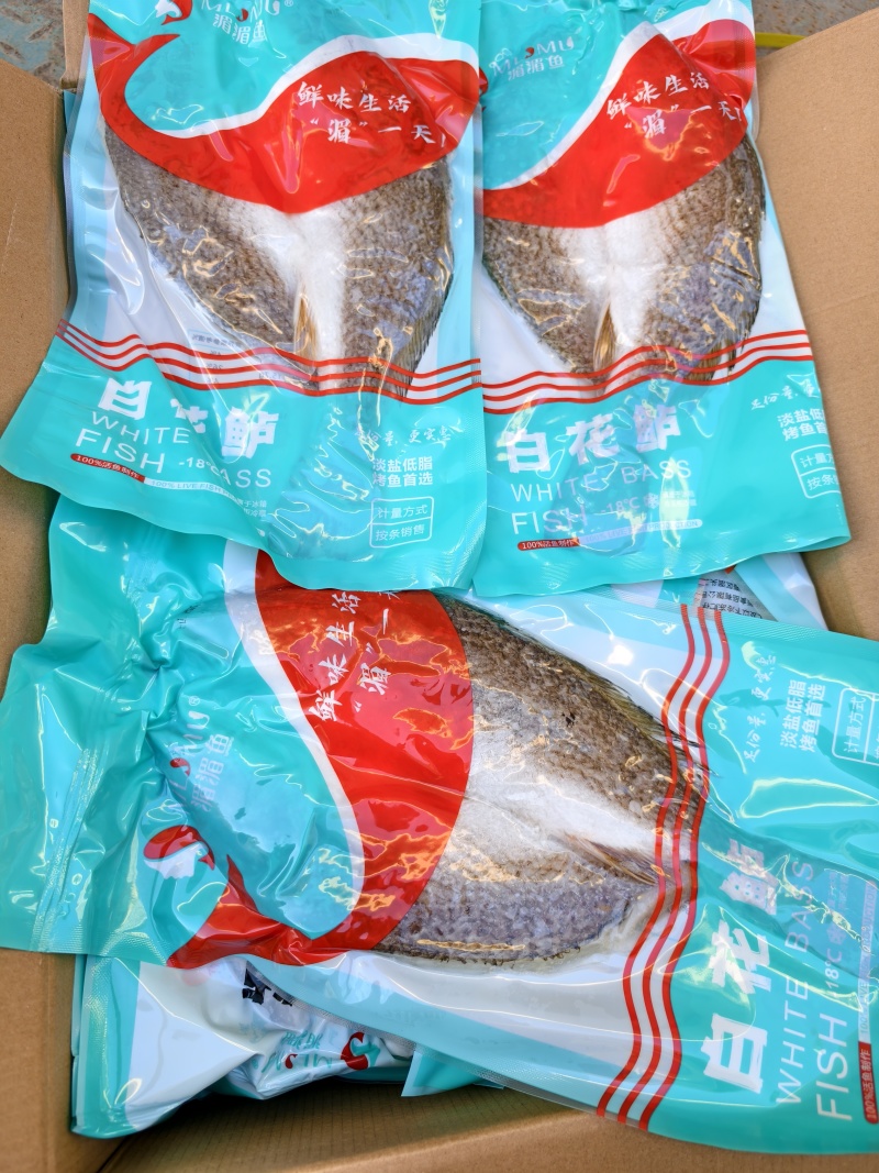 白花鲈质量好，价格优，欢迎订购。