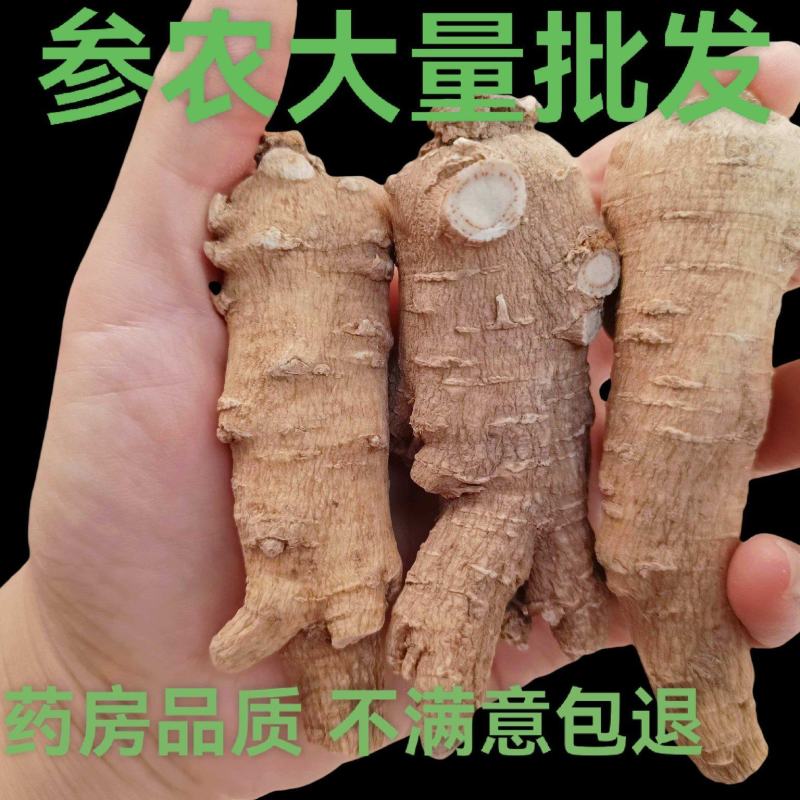 山东文登西洋参参农直销一手货源批发正品包邮