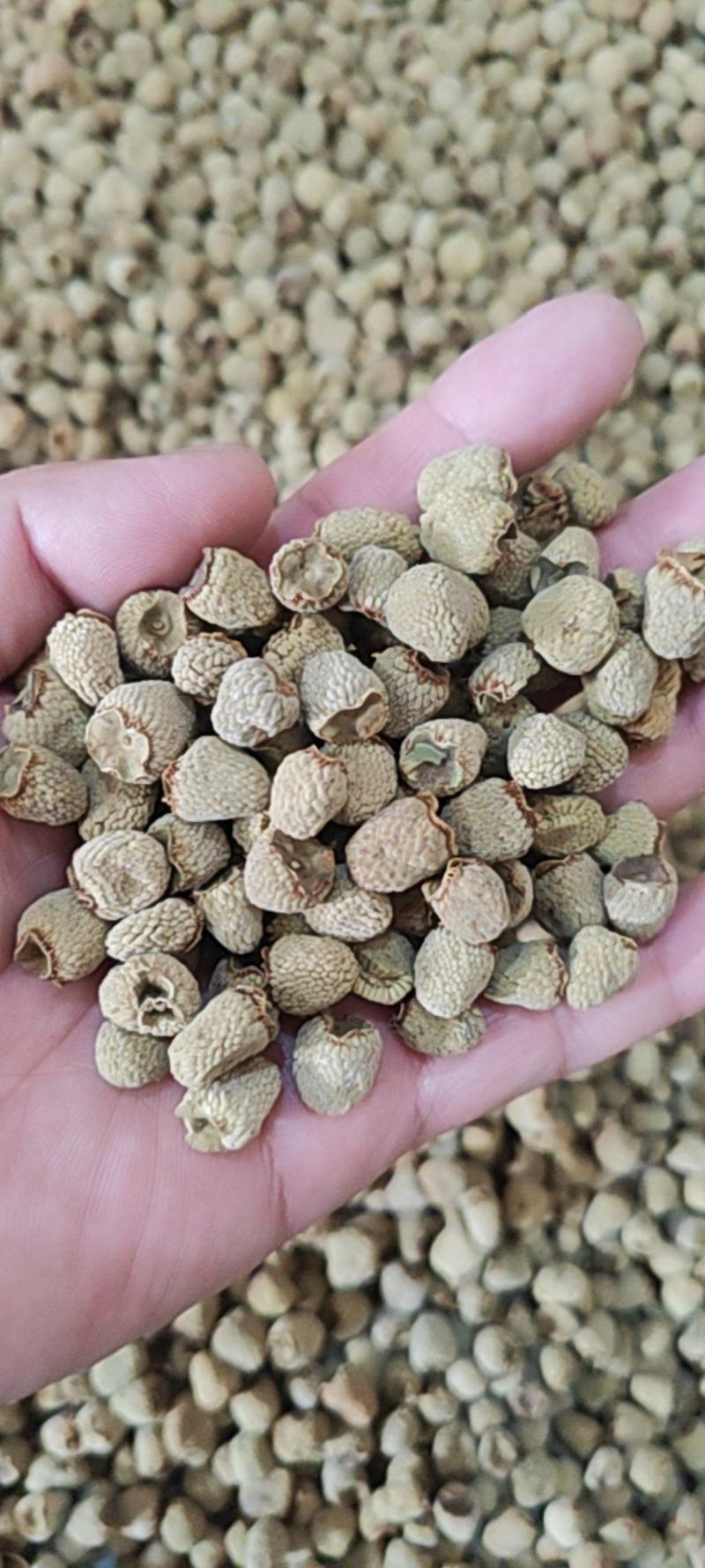 覆盆子覆盆子干货中药材欢迎选购量大从优！