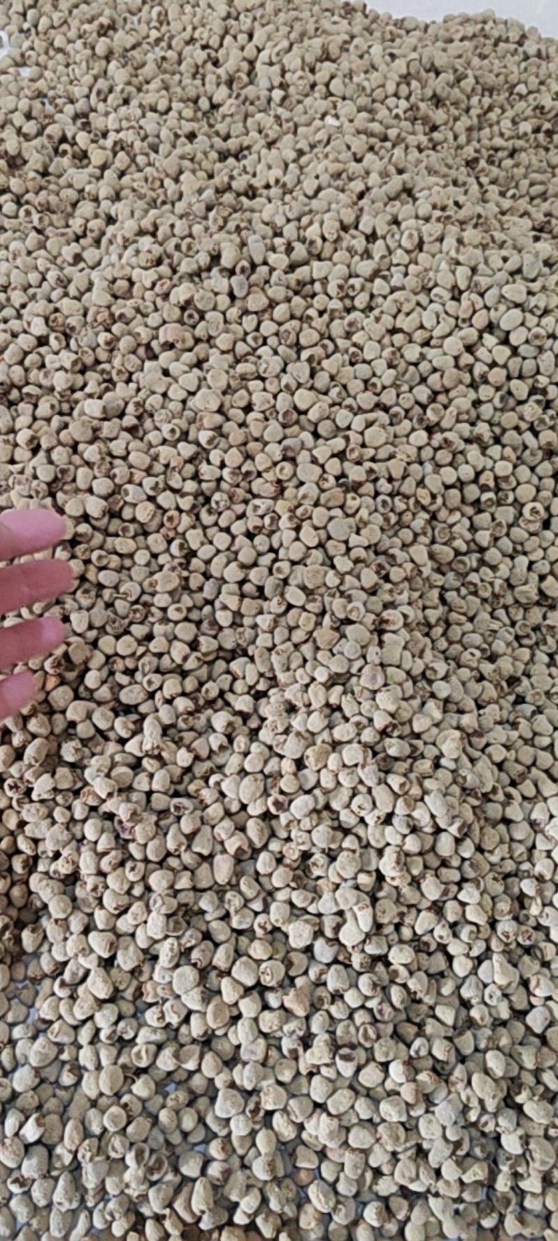 覆盆子覆盆子干货中药材欢迎选购量大从优！
