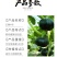 贝栗4号迷你型贝贝南瓜种子板栗南瓜小贝贝南瓜细粉甜糯种籽
