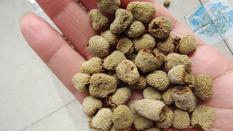 覆盆子选货大粒浙江干货2斤起包邮