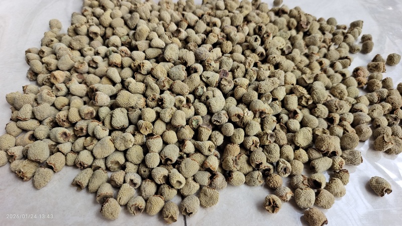 覆盆子选货大粒浙江干货2斤起包邮