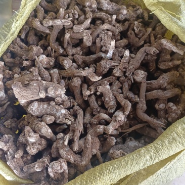 统货干货白术三百多斤