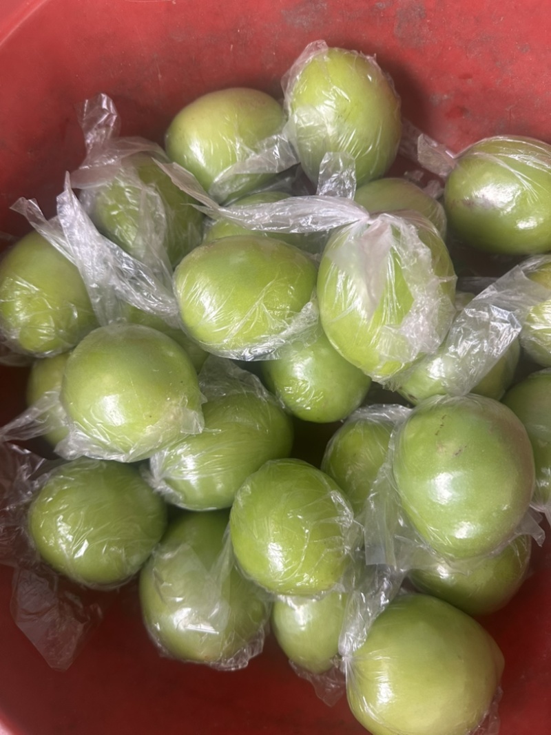 青枣，鲜甜爽口，水分充足，整车代发