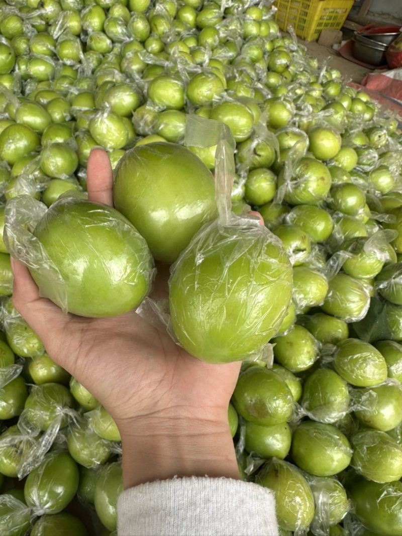 青枣，鲜甜爽口，水分充足，整车代发