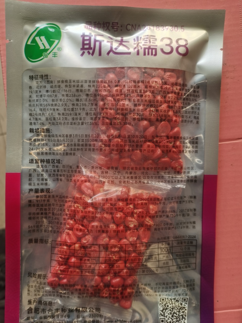 斯达糯38双国审甜味糯玉米软糯香甜早高产好吃