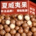 新货夏威夷果粒大饱满支持电商一件代发批量拿货
