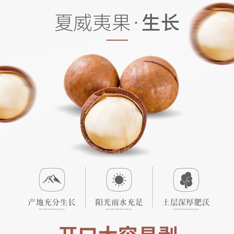 新货夏威夷果粒大饱满支持电商一件代发批量拿货