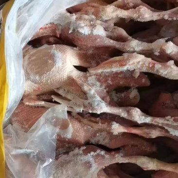 土鸭