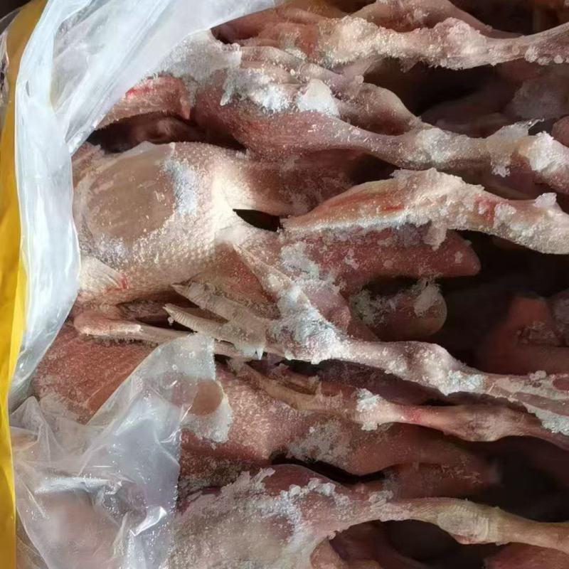 土鸭