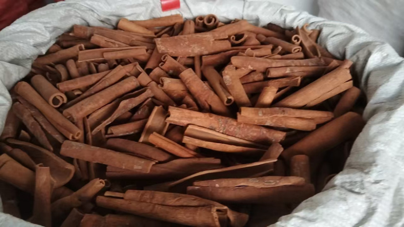 【有活动】广西桂皮源头货源品质保证价格实惠诚信经营