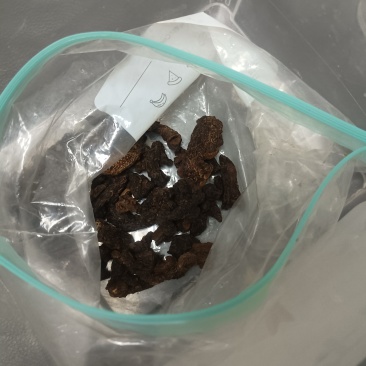 野生黄精，枸骨果，栀子果，晒干的