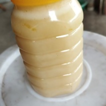 冬蜜
