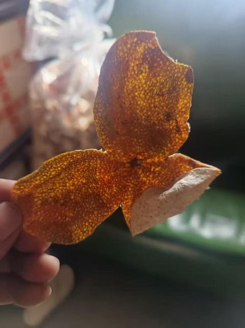陈皮