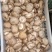 鲜香菇
