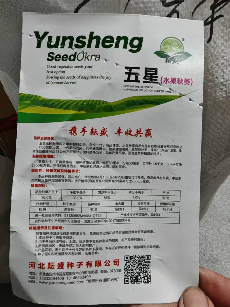 水果秋葵苗黄秋葵苗红秋葵苗