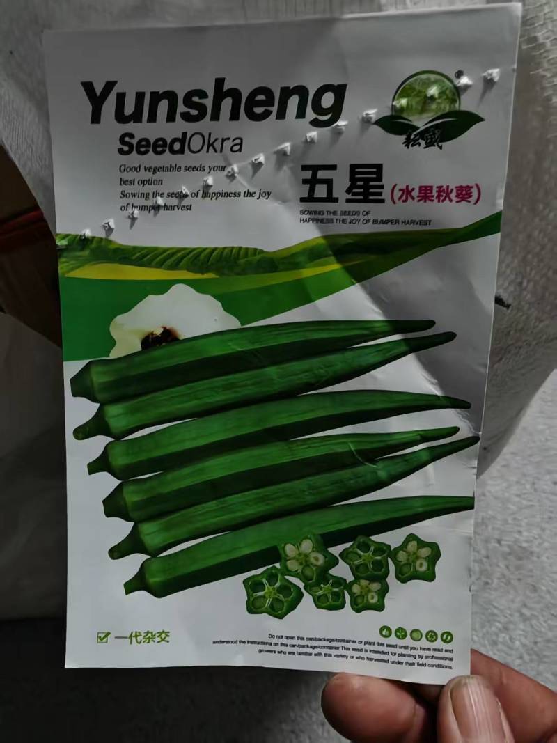 水果秋葵苗黄秋葵苗红秋葵苗