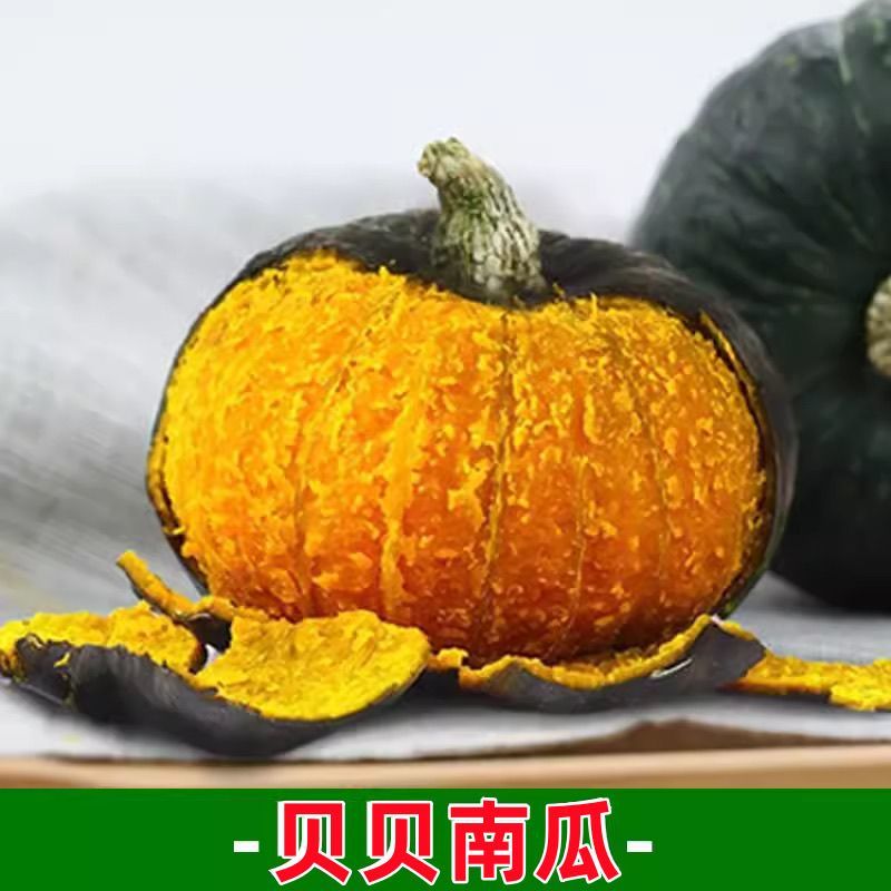 贝贝南瓜苗基地直发