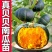 贝贝南瓜苗基地直发