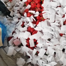 红彩椒黄彩椒甜椒产地直发一手直达