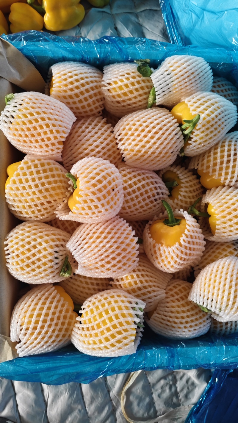 红彩椒黄彩椒甜椒产地直发一手直达