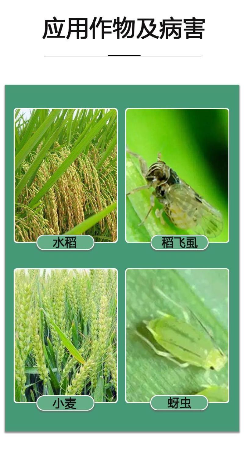 河北威远谷兴25%吡蚜酮悬浮剂小麦蚜虫水稻稻飞虱专用农药