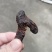 野生鸡头黄精