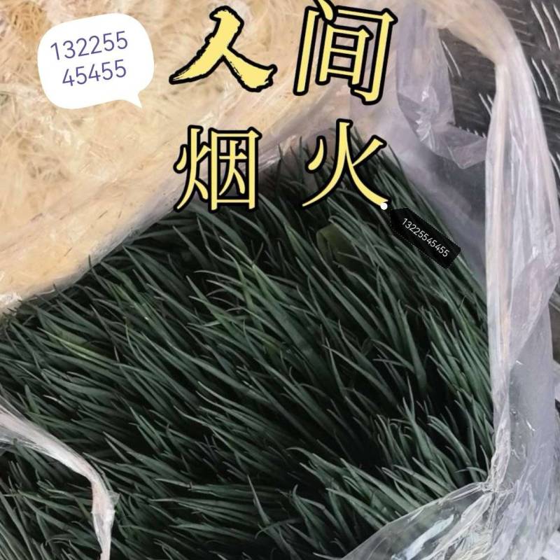 需要联系精品小葱，价格优惠1/搜数字加
