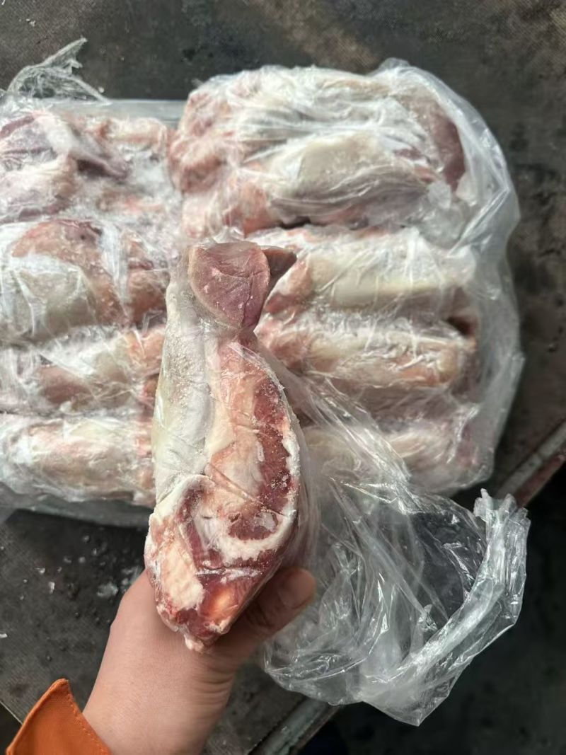 纯干猪舌20个左右