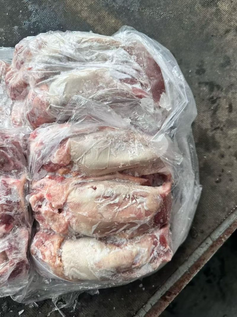 纯干猪舌20个左右