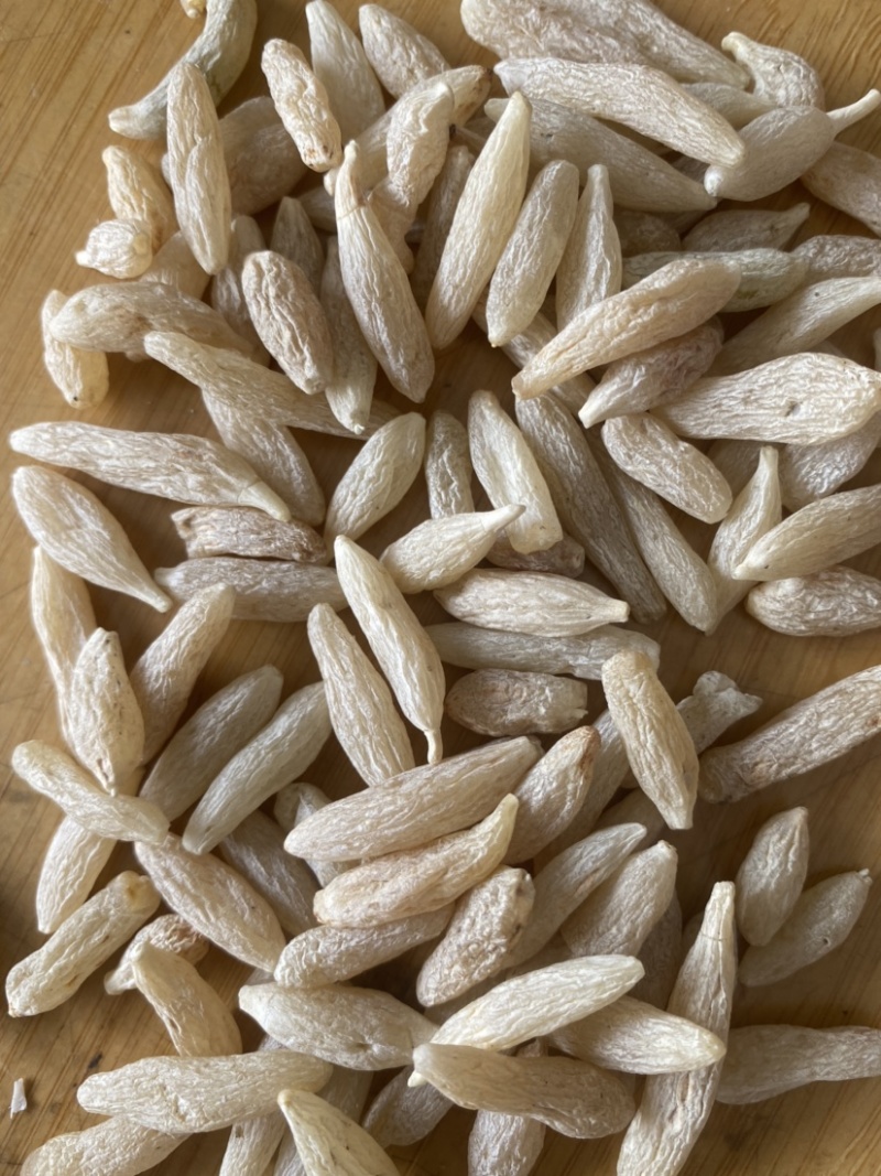 麦冬