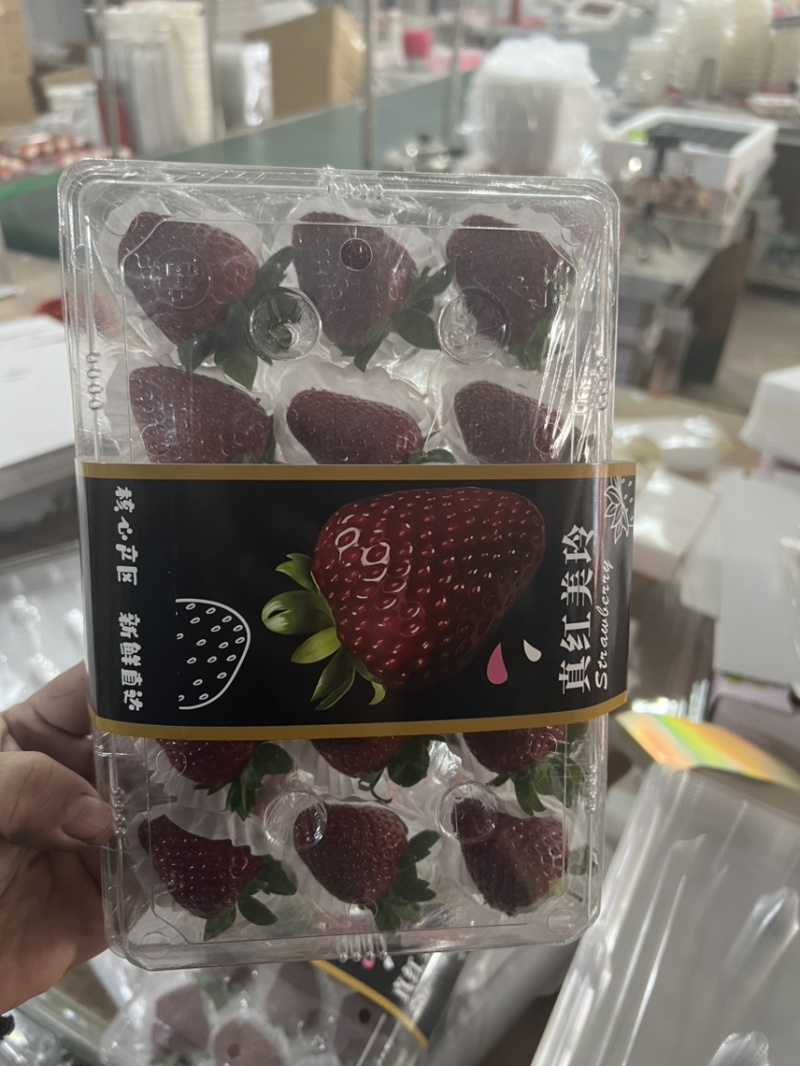 黑草莓真红美玲黑珍珠