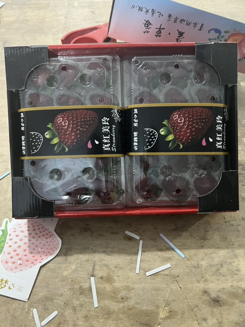黑草莓真红美玲黑珍珠