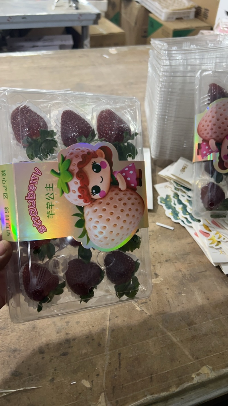 黑草莓真红美玲黑珍珠