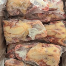 原粮7两乳鸽1万只