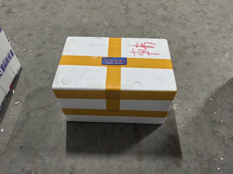 云南一级蚕豆米
